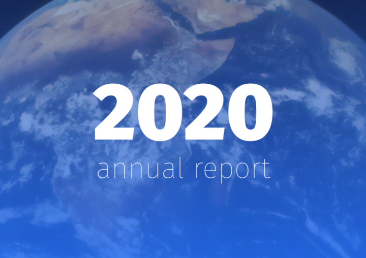 DD Foundation Annual Report 2020